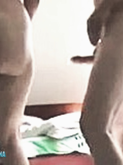 PORCHE DI TUTTI I GIORNI