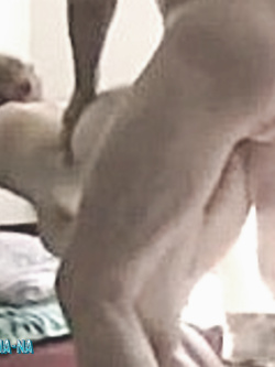 PORCHE DI TUTTI I GIORNI