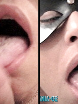 PORCHE DI TUTTI I GIORNI