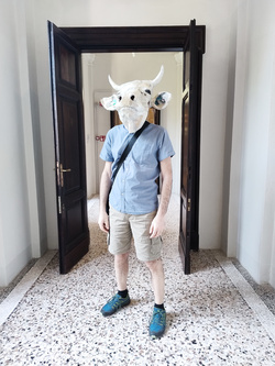 The Wizard in holiday