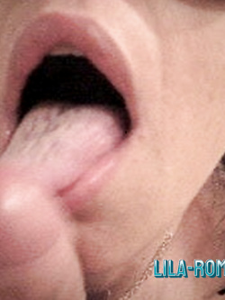 LILA -  PORCELLA DI GENOVA