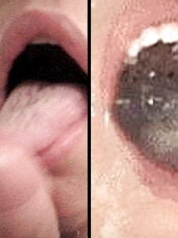 LILA -  PORCELLA DI GENOVA