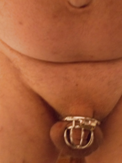 CON GABBIA DI CASTITA