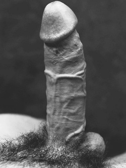 alrti cazzi dal web 3