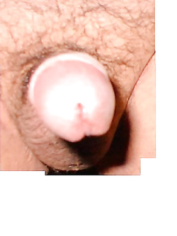 Il mio amico..............