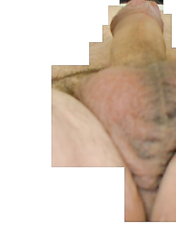 Il mio amico..............